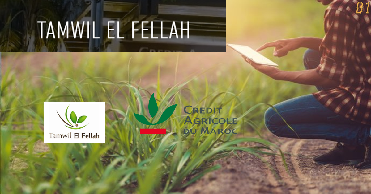 Tamwil El Fellah | CAM Crédit Agricole du Maroc