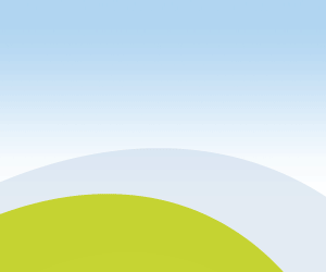 Creditneto Avis sur ce comparateur de crédit consommation en ligne